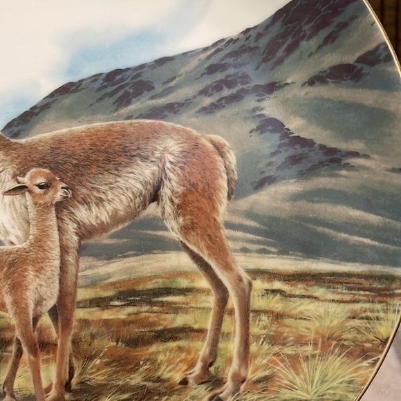The Vicuña Will Nelson Vintage Last of Their Kind: The Endangered Species Plate - Picture 13 of 15